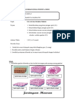 LKPD Jaringan Epitel - Nandiya Hadrayni - Xi Mipa 4