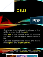 The Basic Structural and Functional Unit of Life - The Cell
