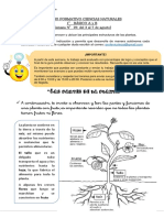 1°básico Ciencias Naturales Semana 19 1