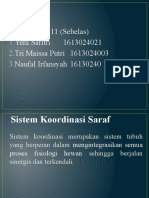 Sistem Koordinasi Saraf Kelompok 11 Kelas A