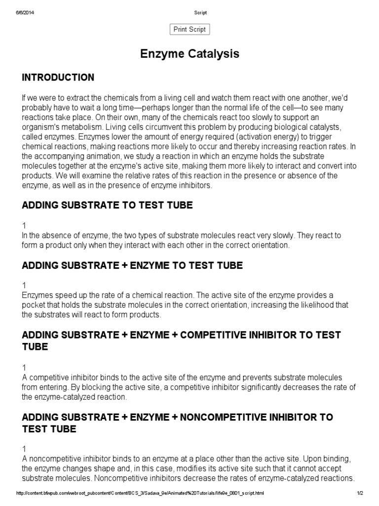 Enzyme Catalysis PDF Enzyme Enzyme Inhibitor