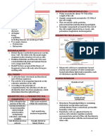 Cell Molecular Composition of Cell