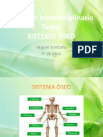 Sistema - Oseo PPTX 6511611363763