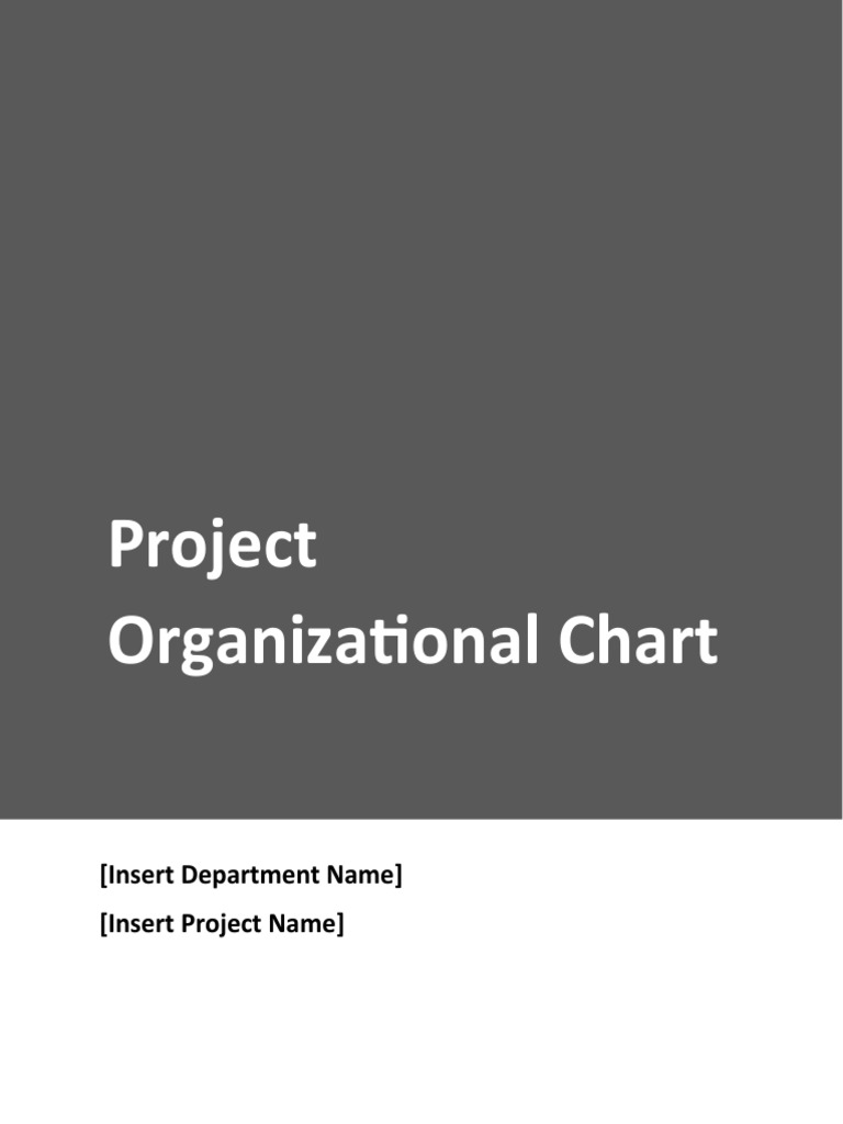 Project Org Chart Template With Instructions PDF Software
