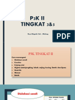 P3K 2 (TINGKAT V)