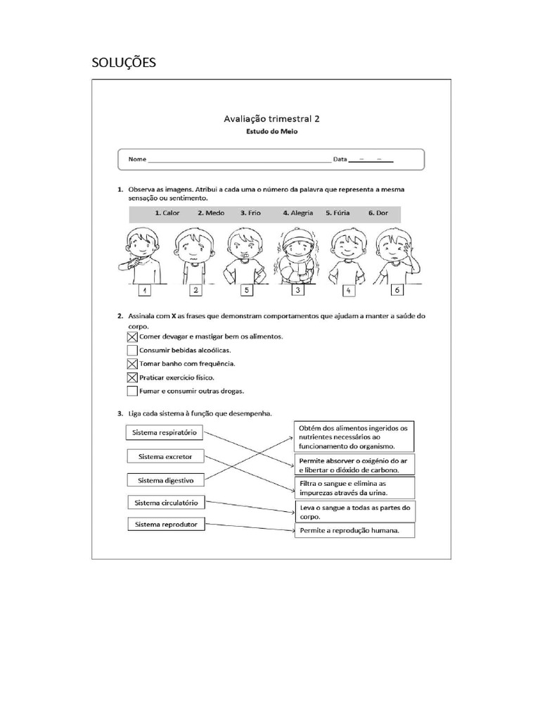 Ficha de Avaliacao Estudo Do Meio 3 Ano 2 Trimestre Marco Solucoes | PDF