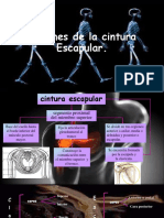 lesionesdelacinturaescapular-160821163744