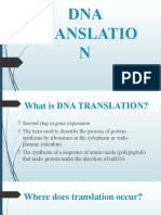 Dna Translation