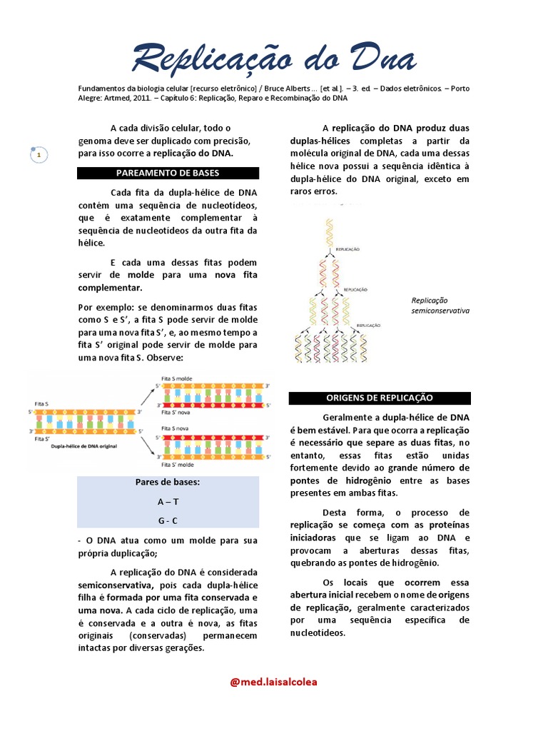 4 - ReplicaÃ Ã o Do DNA | PDF | Replicação de DNA | Primer (Biologia  Molecular), image size:768x1024