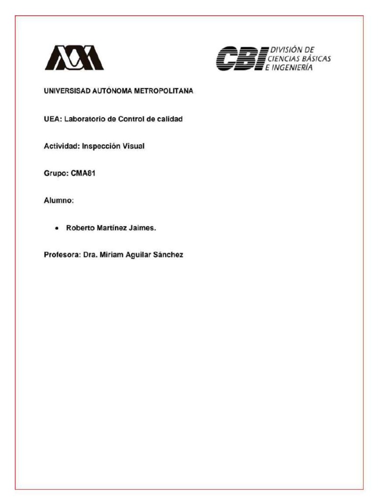 Práctica Inspección Visual PDF