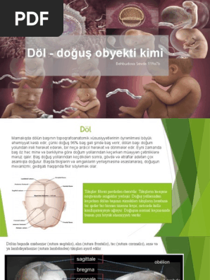 Олар менің енемді есектен қағып жатыр