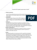 Funciones de los organelos celulares