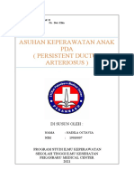 Askep Anak Pda