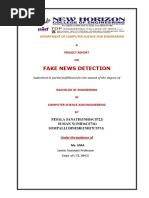 Fake News Detection - Report