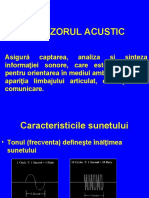 Analizatorul_auditiv-25890