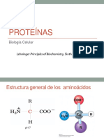 Presentación Clase 3 - Proteínas