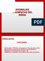 1 Malf Congénitas Del Riñón