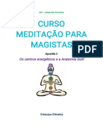 Apostila 2 - Os Chakras Curso Meditação para Magista Vinicius Oliveira CSF Cabal