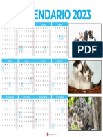 Calendario 2023 Feriados Argentina