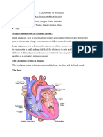 Introduction To Circulation in Humans