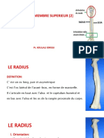 Osteologie Du Membre Superieur (2) Pr. Koulali