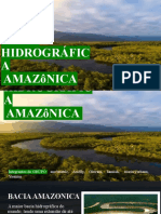 Bacia Amazônica: Maior Bacia Hidrográfica do Mundo