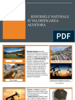 Resursele Naturale Si Valorificarea Acestora