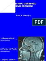 Trunchiul Cerebral. Nervii Cranieni. Generalitati