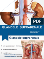 Glandele Suprarenale