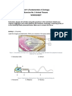 E290 Zool11 LaboratoryExerciseNo.2