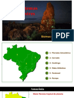 Biomas Do Brasil