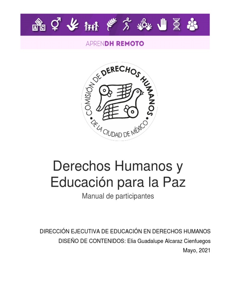 Manual de Derechos Humanos y Paz | PDF | Conflicto (proceso) | Derechos ...