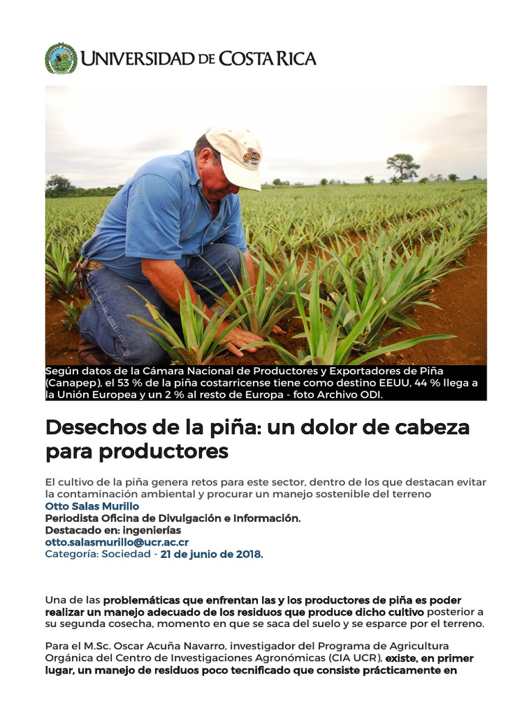 Manejo sostenible de residuos de piña | PDF | Residuos | Suelo