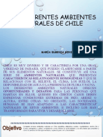 6° Año PPT Los Diferentes Ambientes Naturales de Chile