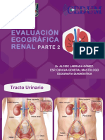 Renal Patológico