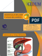 Vesícula Biliar y Vías Biliares