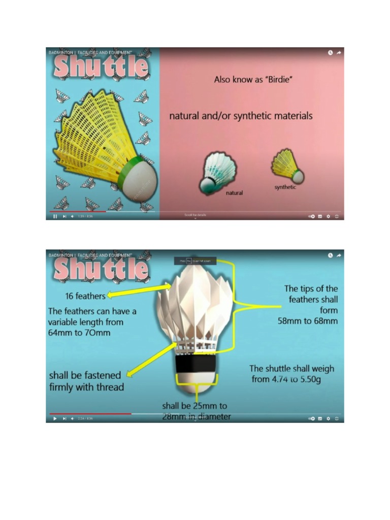 Badminton Facilities and Equipment PDF