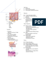 Integumentary System ANAPHY Notes 4