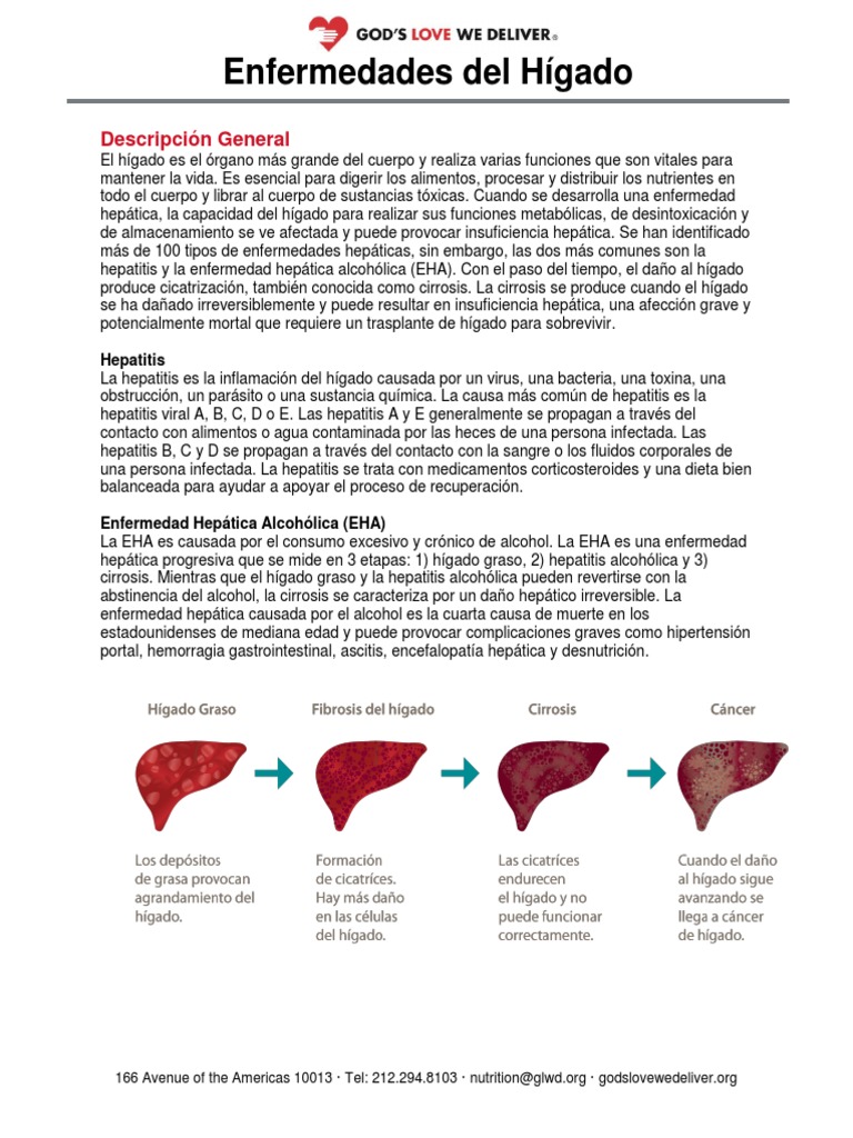 SPANISH Updated Fact Sheet Liver Disease PDF Hepatitis Cirrosis