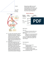 The Human Reproductive System