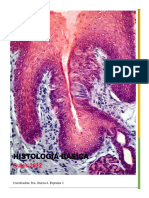 Guías Histología Básica 2022