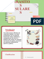 Microbiologia Diapositivas