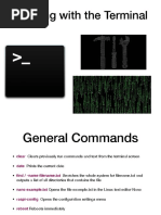 Working With The Terminal