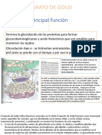 Aparato de Golgi 2019