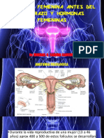 Fisiologia Femenina Antes Del Embarazo Dr. Cadima