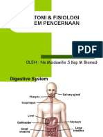 Anatomi Dan Fisiologi Sistem Pencernaan