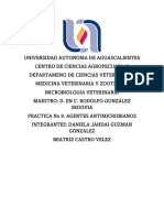 Práctica #8 Agentes Antimicrobianos Físicos y Químicos