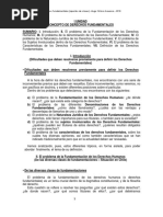 Derechos Fundamentales Apuntes de Clase