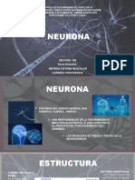 Presentacion Neurona Lista y Corregida1