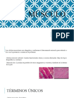 Tejido Muscular Histologia Libro Atlas Garner Hia...